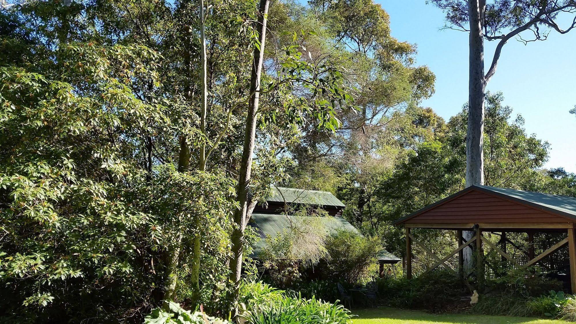 Bellbird Cottage B&B