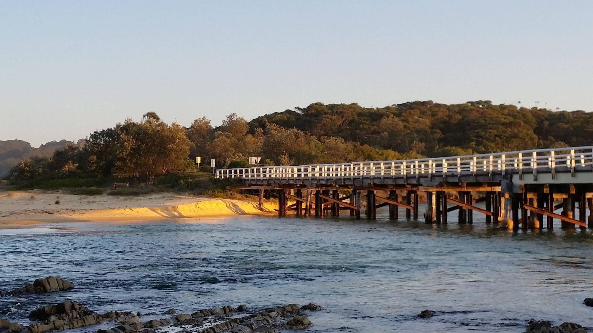 Bellbird Cottage B&B