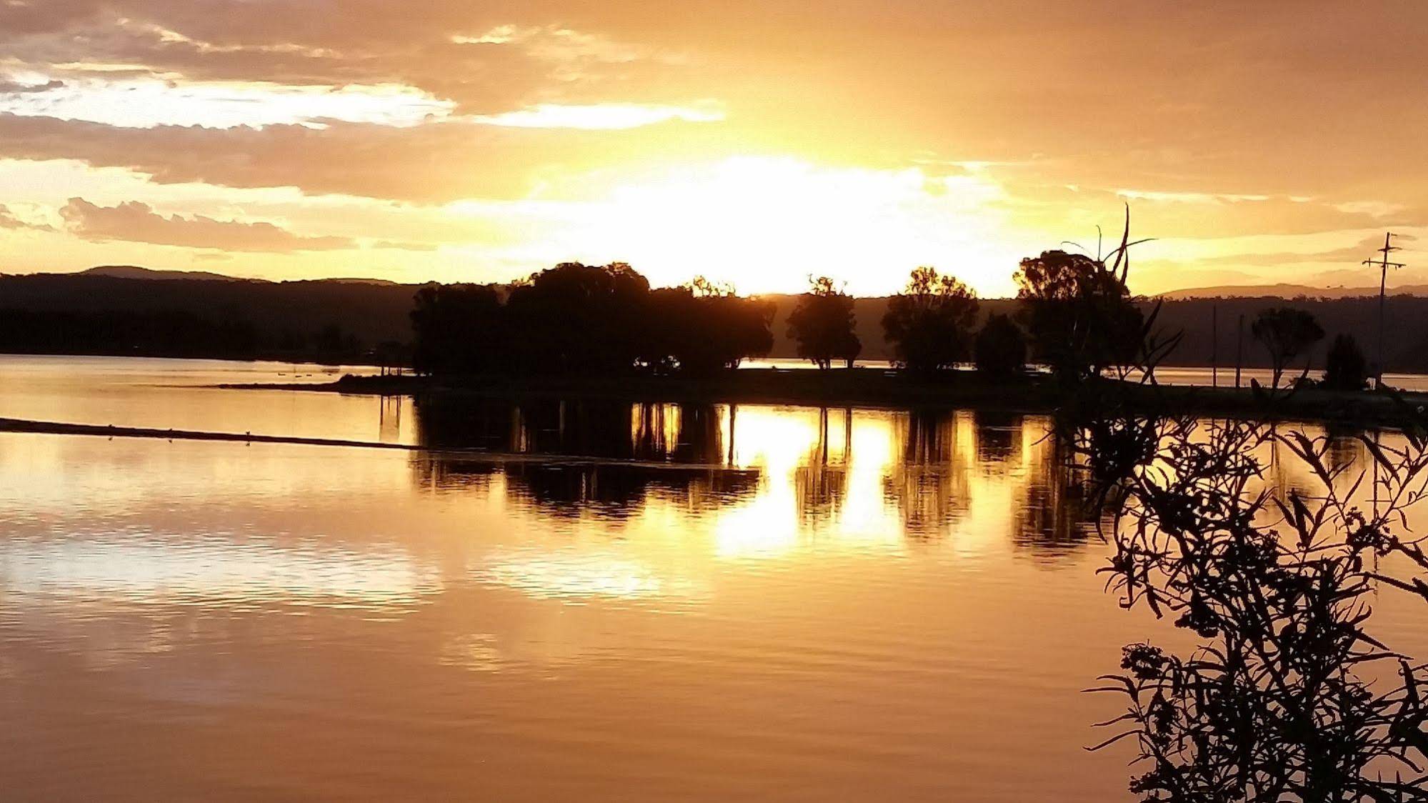 Bellbird Cottage B&B