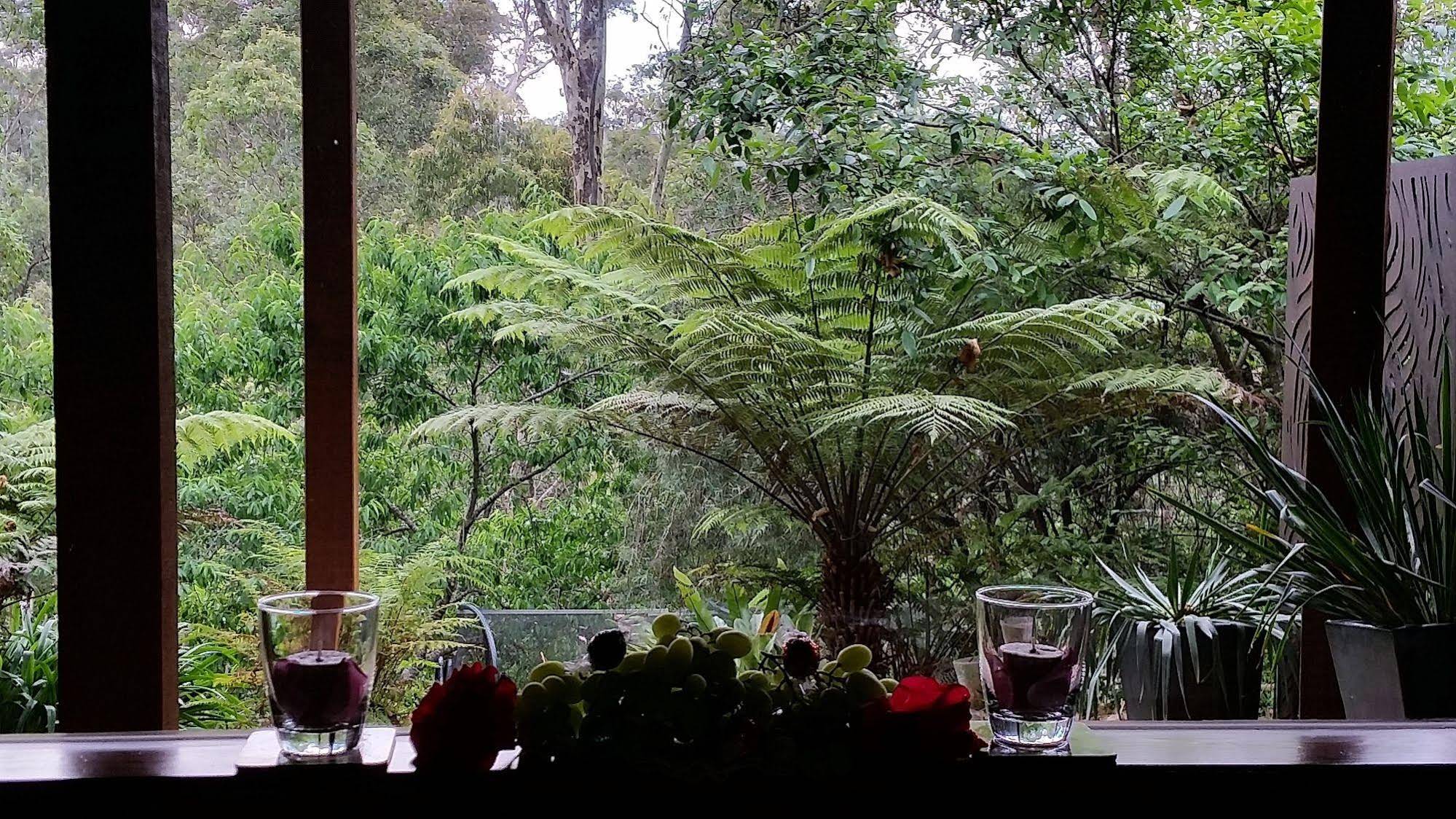 Bellbird Cottage B&B