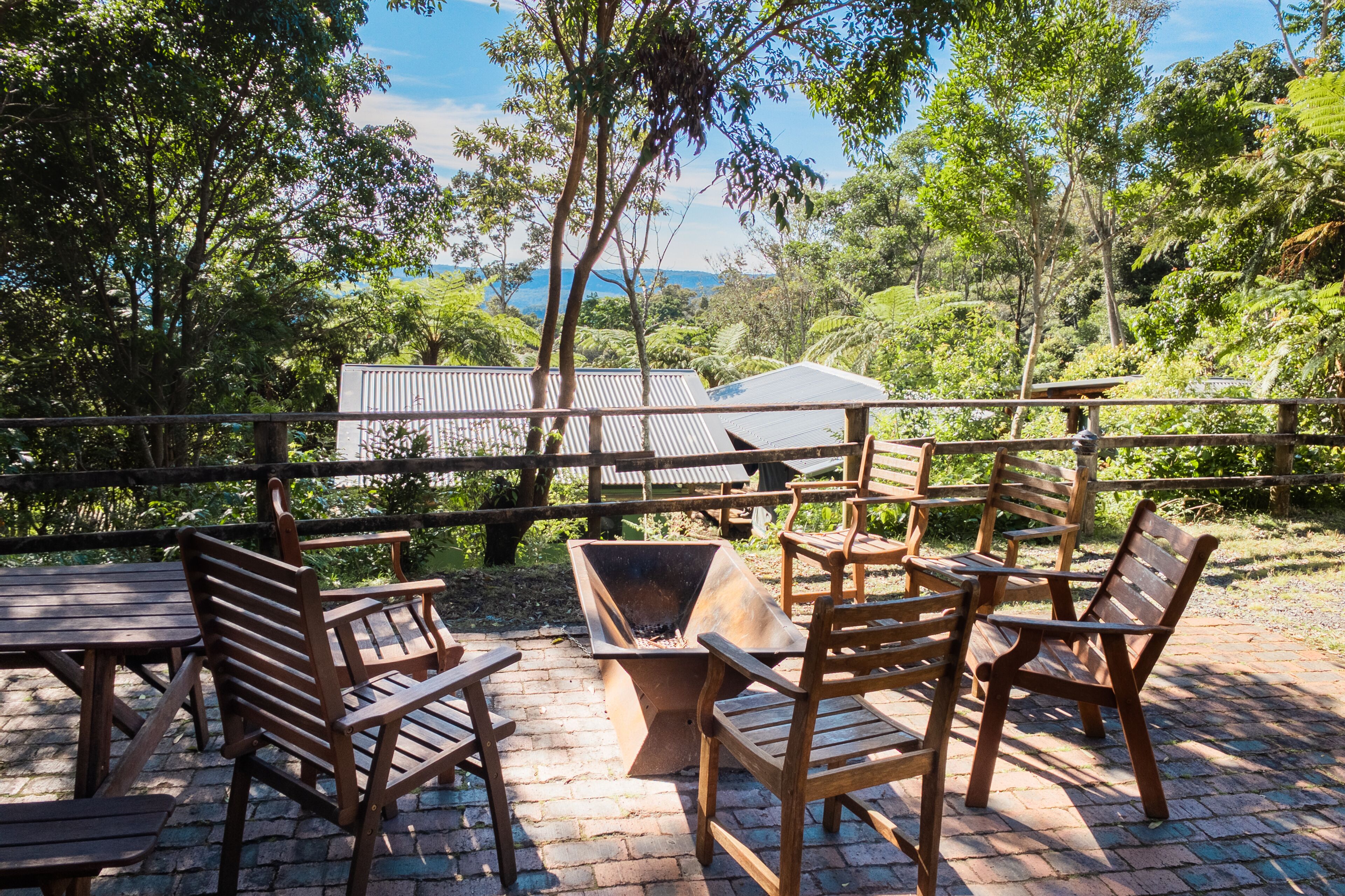 Binna Burra Rainforest Campsite
