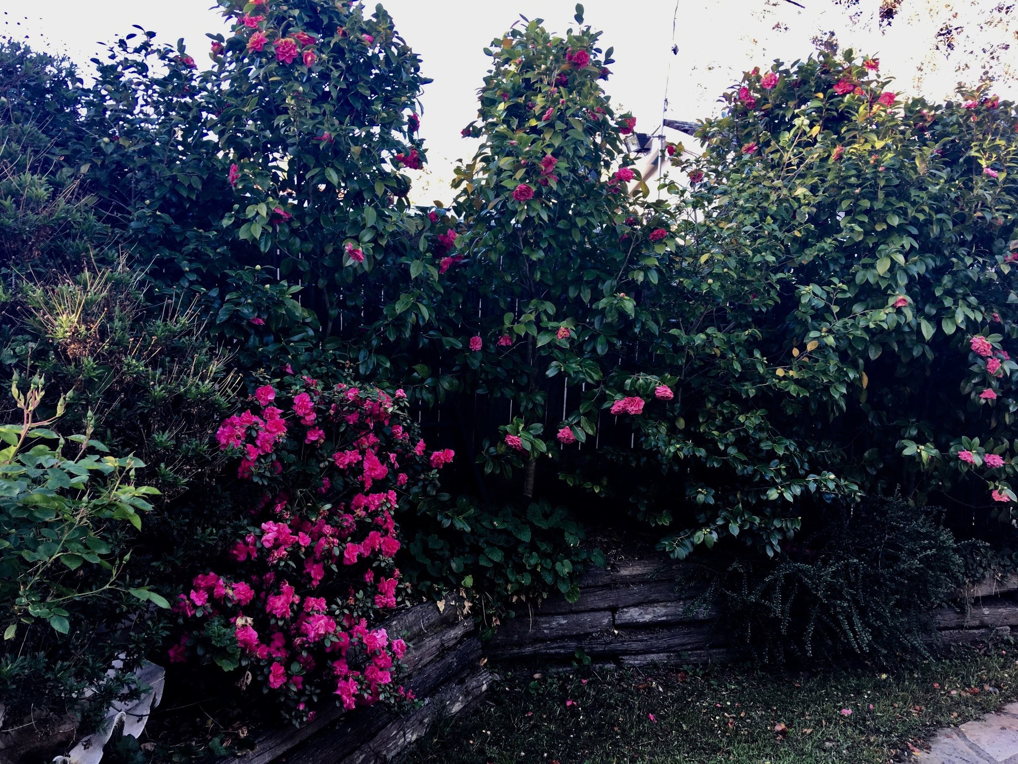 Crimson Villa