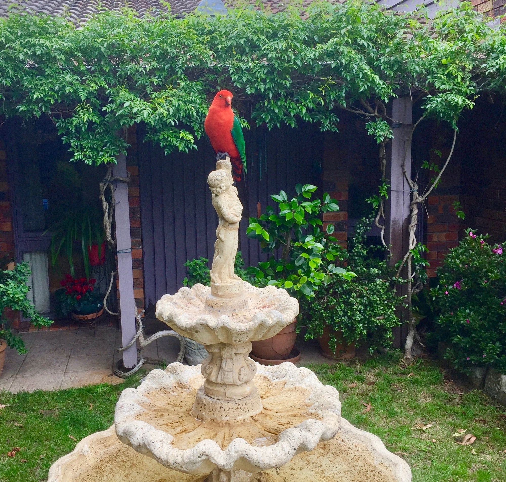 Crimson Villa