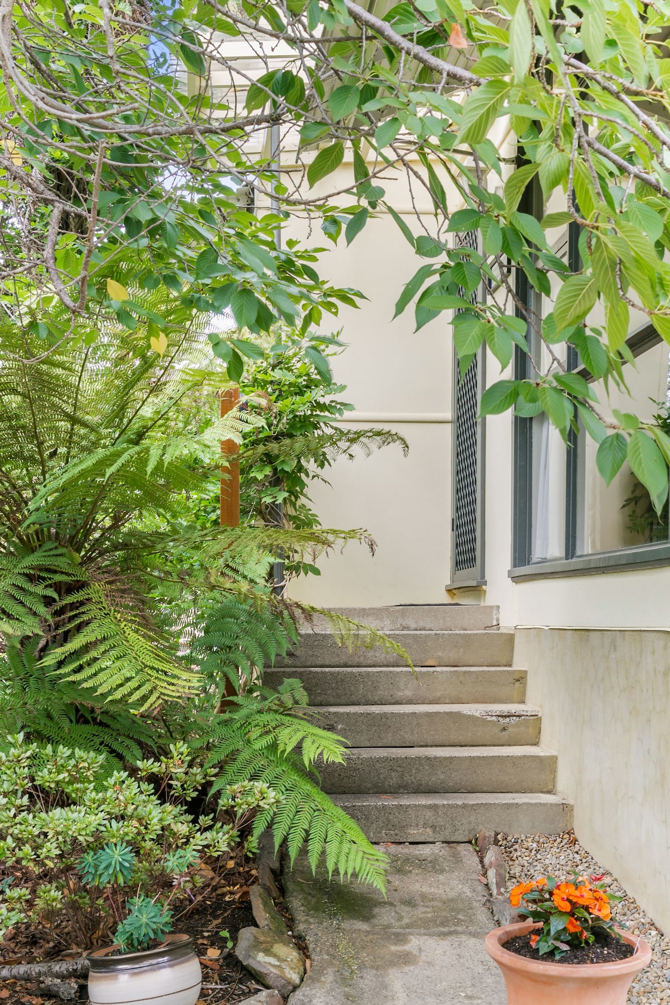 Fern Cottage