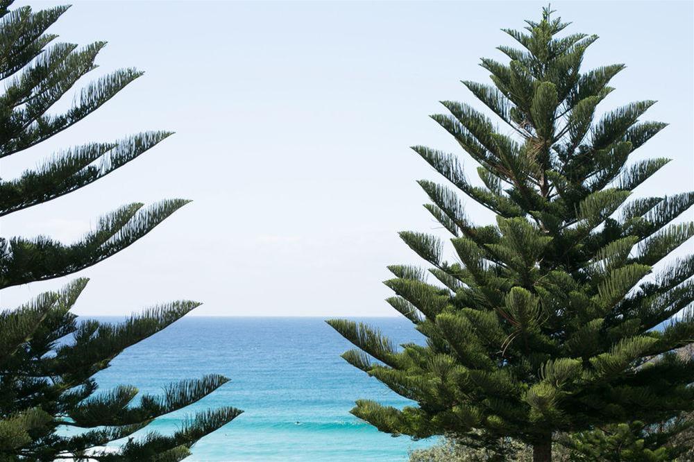 Bondi 38 Serviced Apartments