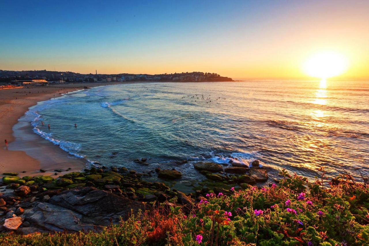 NewLife Serviced Apartments Bondi Junction