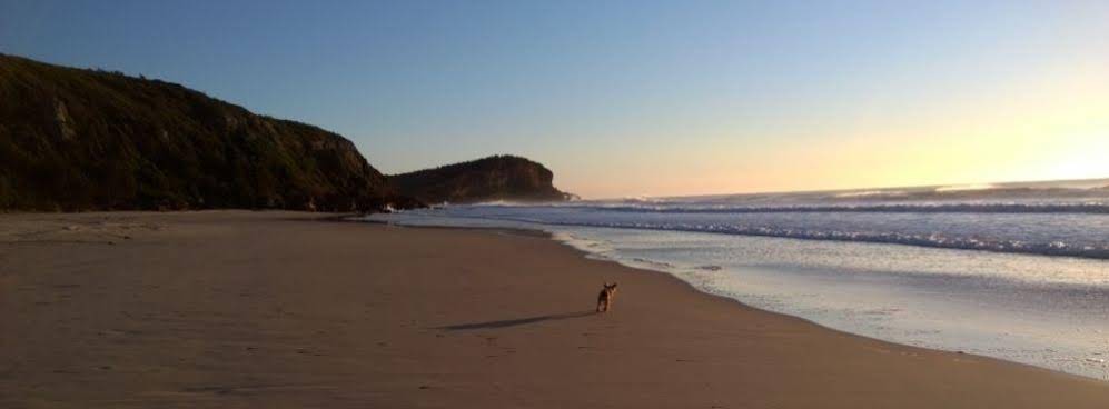 Seaview Bed and Breakfast