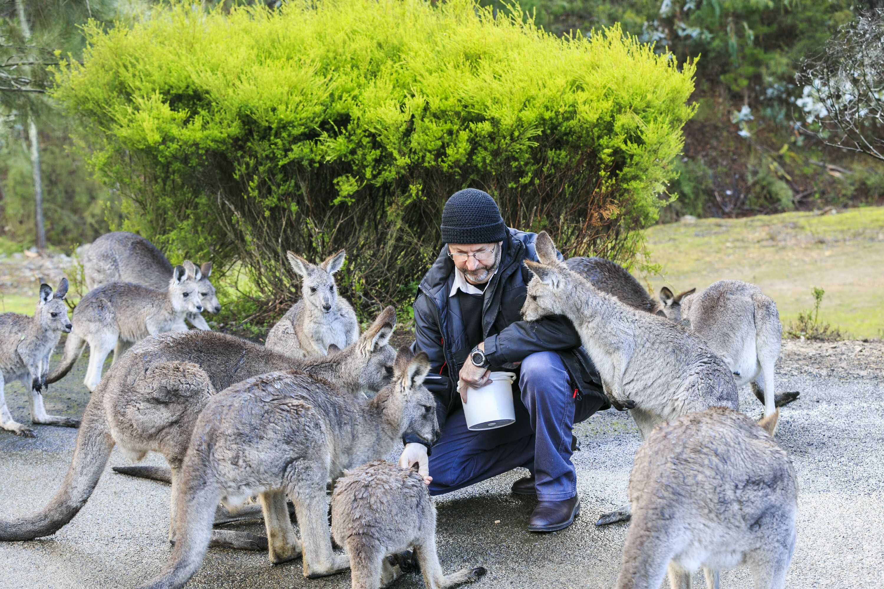 Reflections Burrinjuck Waters Holiday & Caravan Park