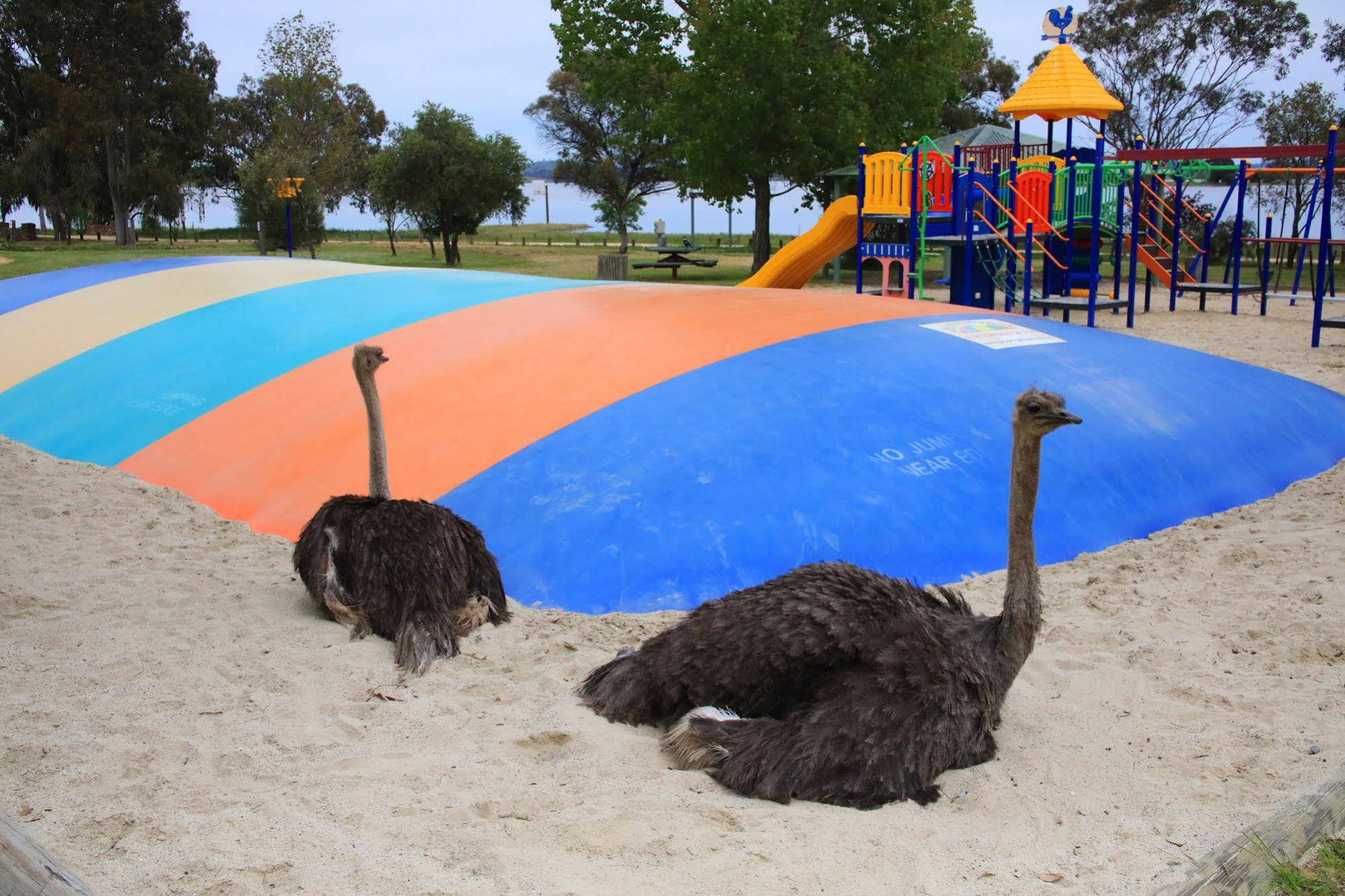 Great Aussie Holiday Park