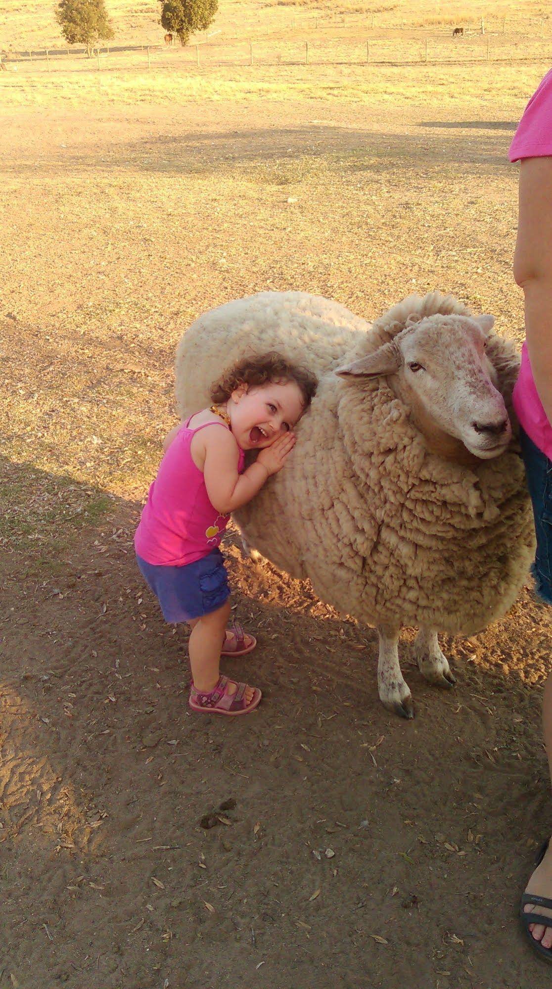 Great Aussie Holiday Park