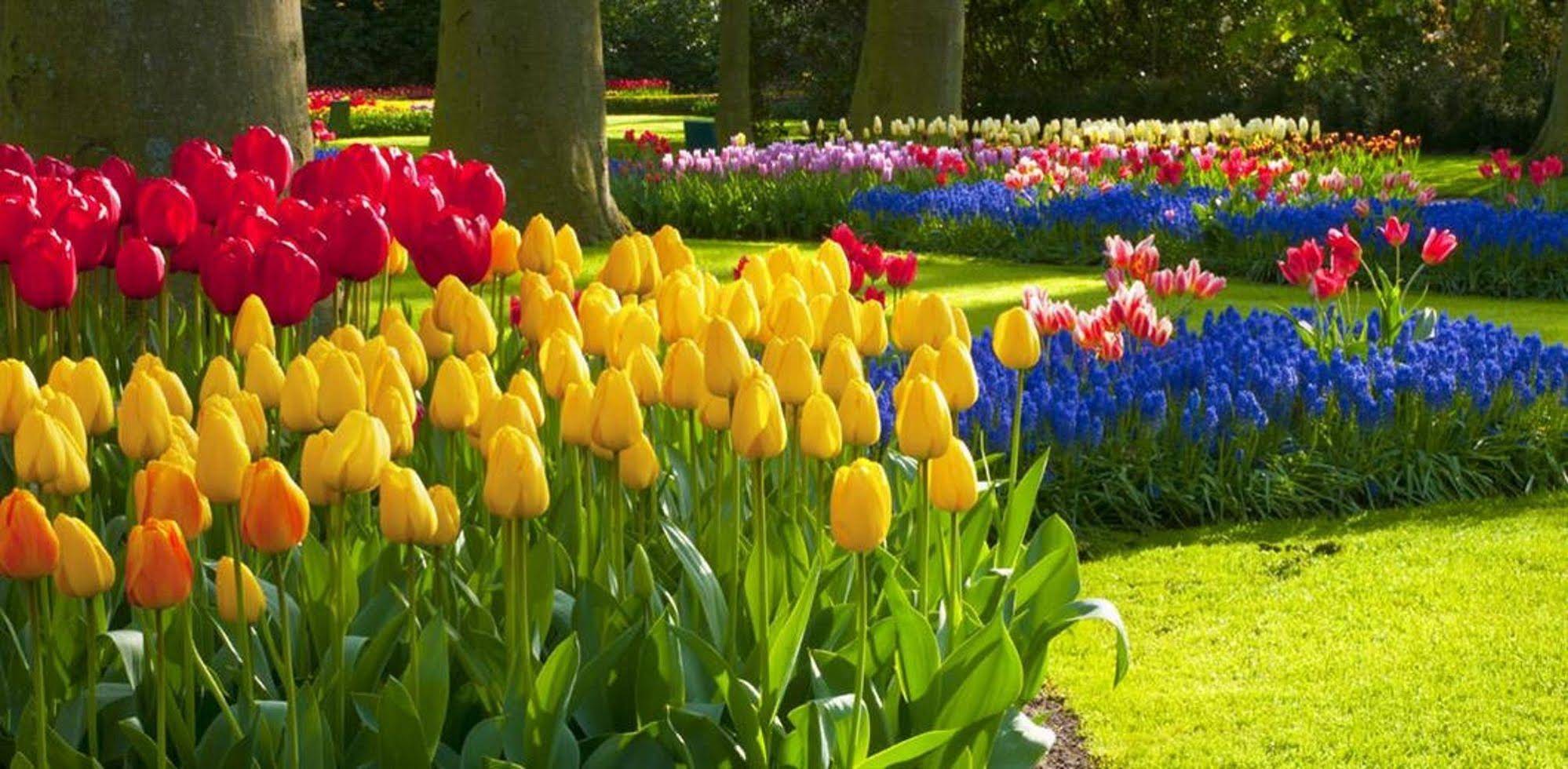 Milton Park Country House Hotel & Spa