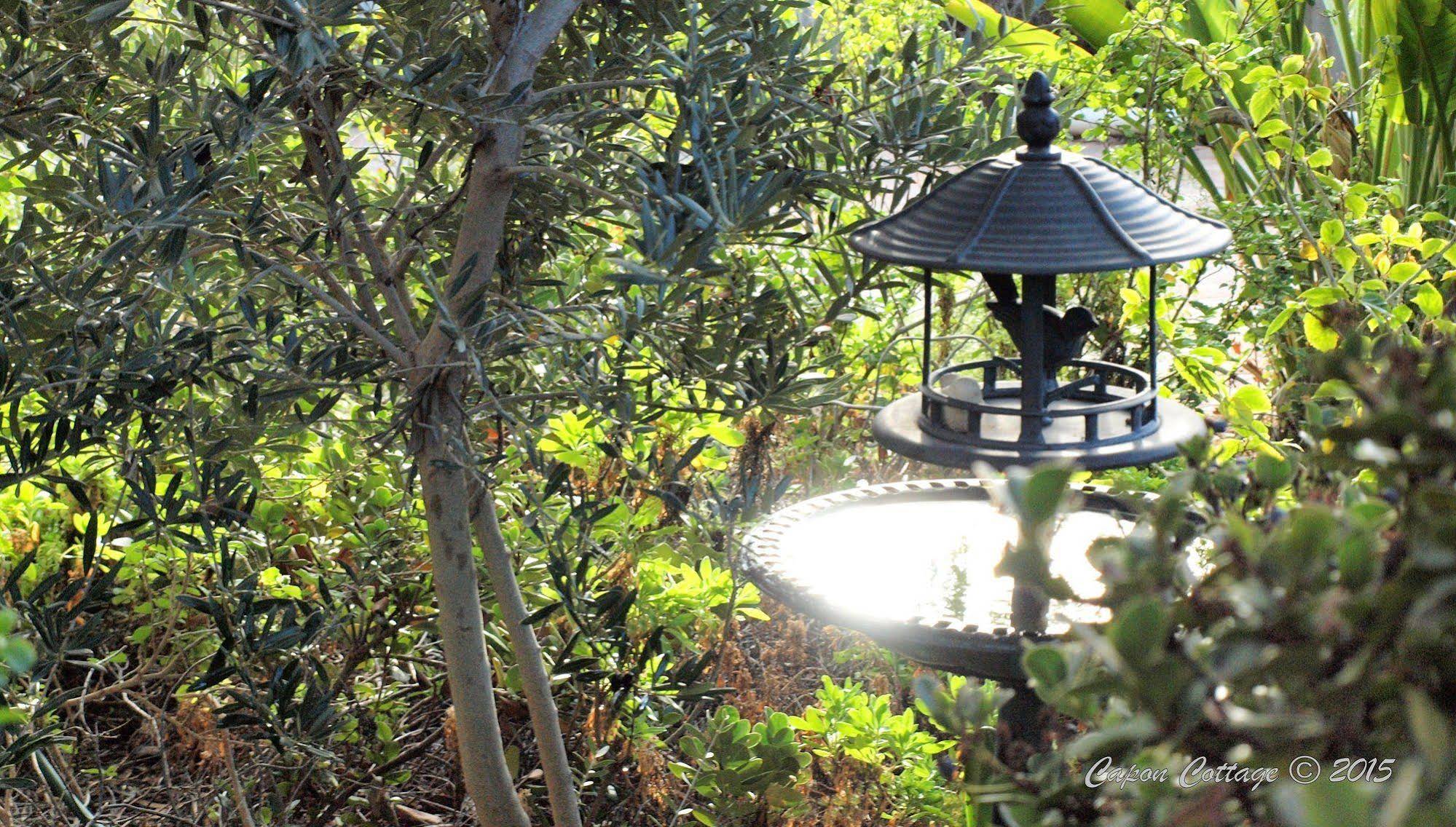 Capon Cottage