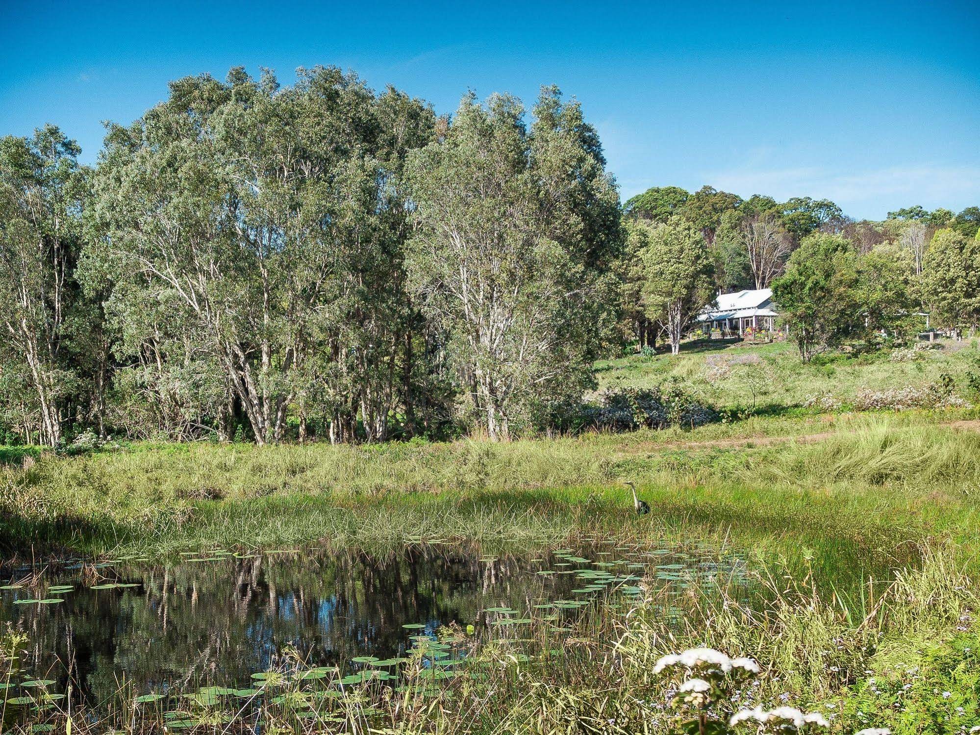 Abelia House Bed and Breakfast