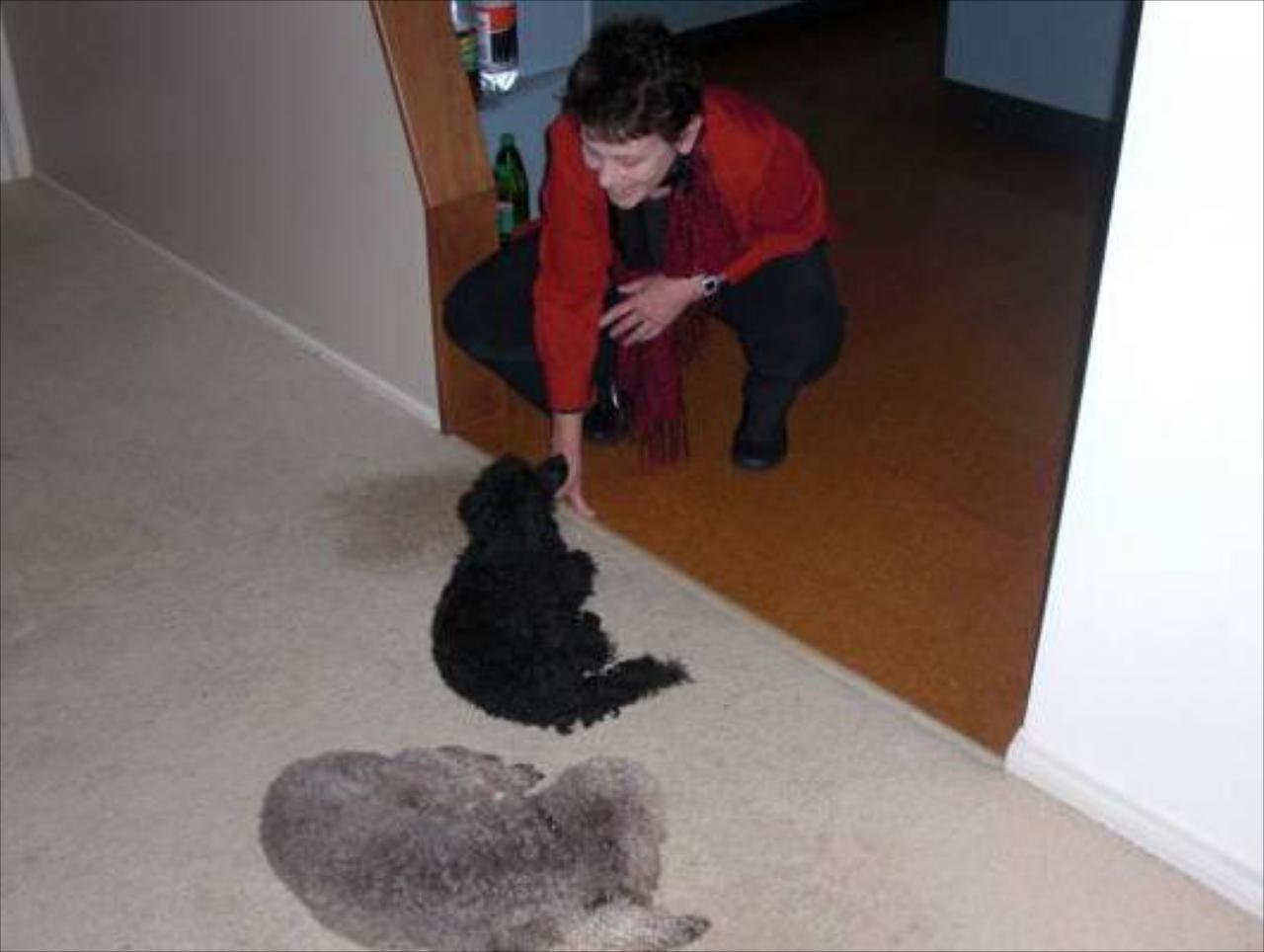 Baystay Bed & Breakfast