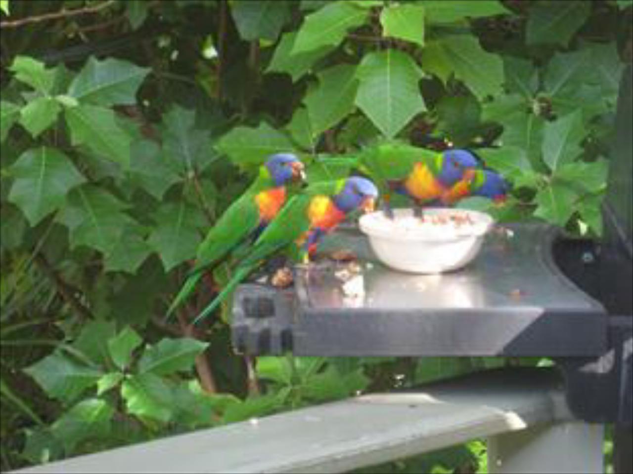 Baystay Bed & Breakfast