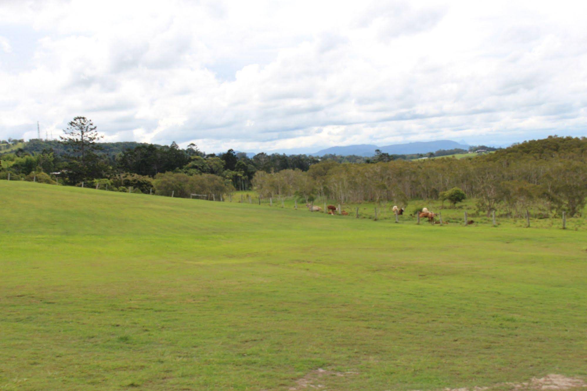 Cape Byron Retreat