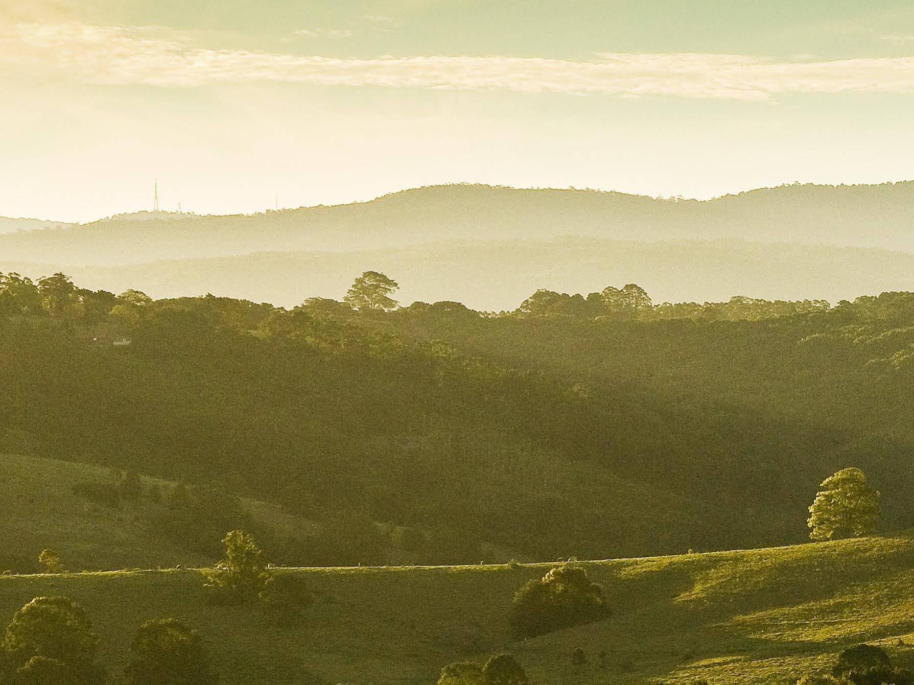 Summer Hills