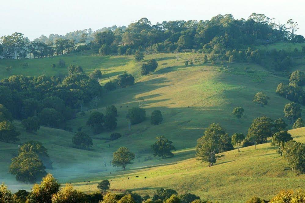 Summer Hills