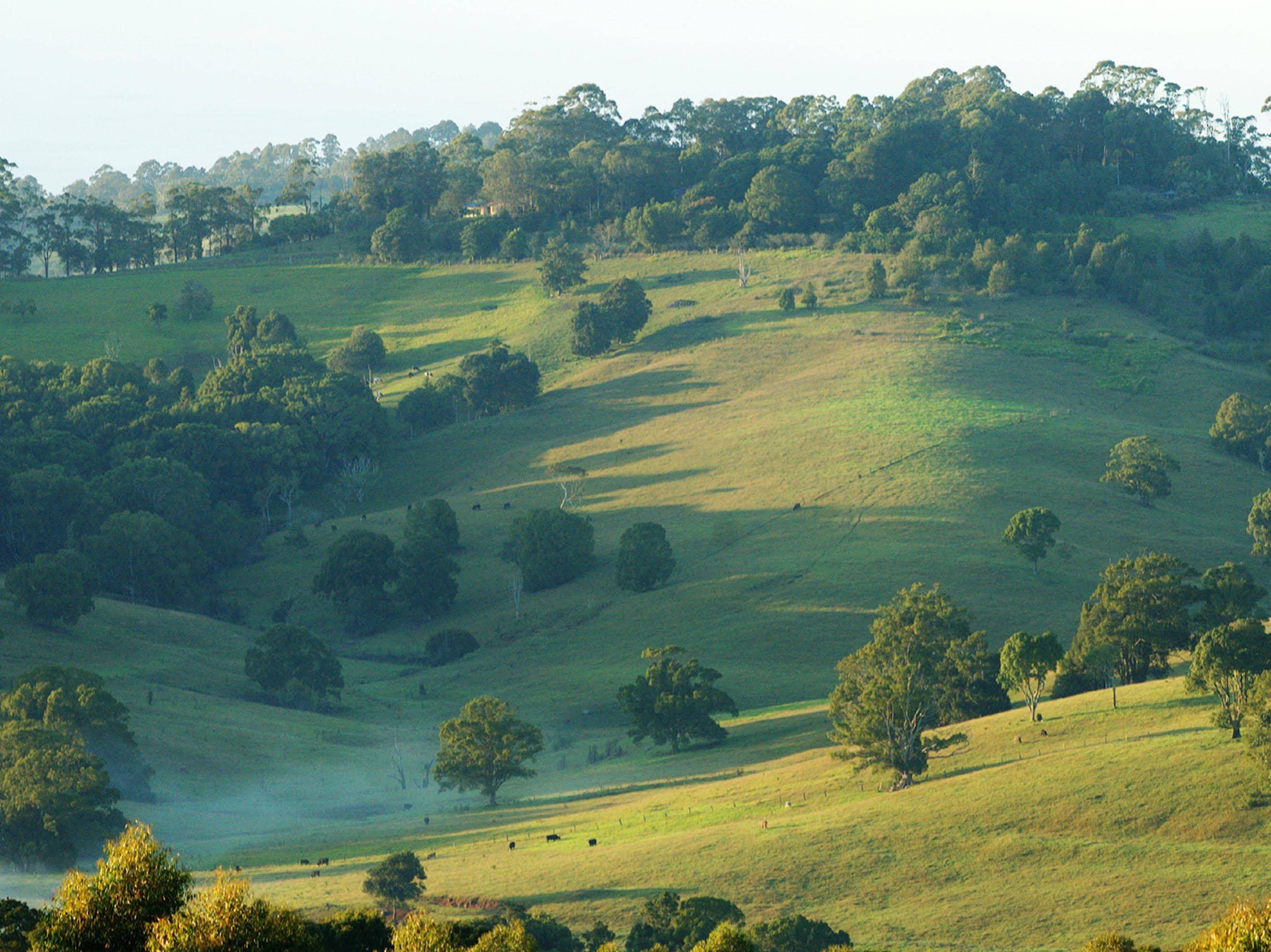 Summer Hills
