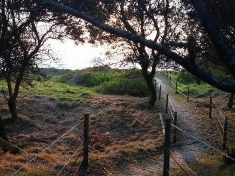 Tuckeroo Beach House