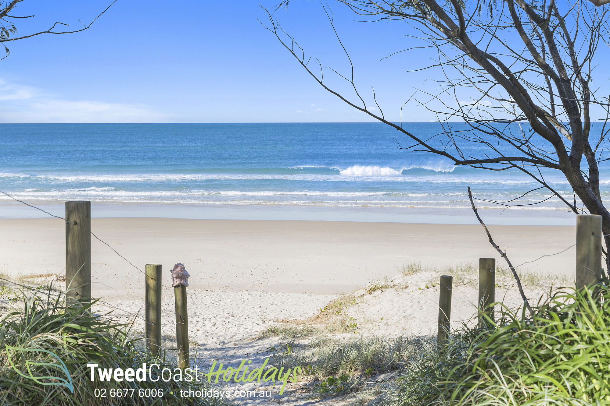 Sun Dream Palace - Tweed Coast Holidays
