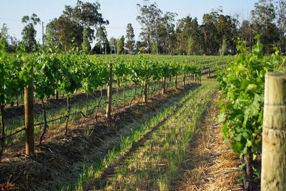 Studio Cottage at the Wines