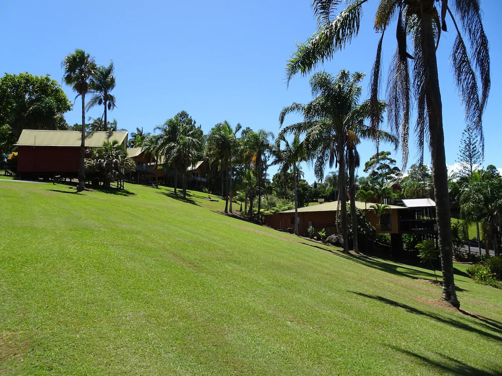 Paradise Palms Resort
