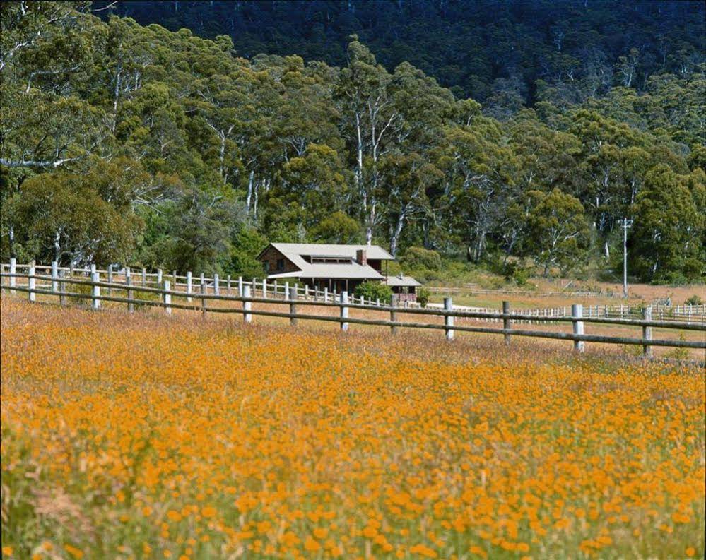 Pender Lea Chalets