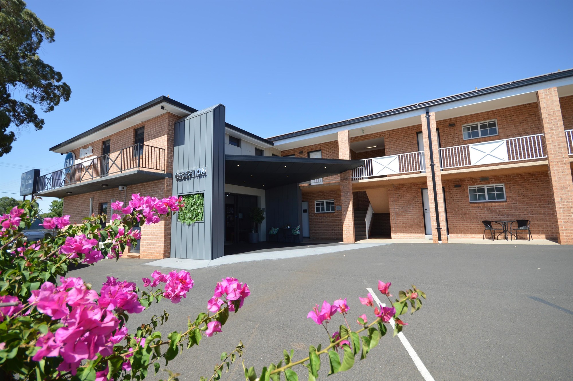 Best Western Bluegum Motel