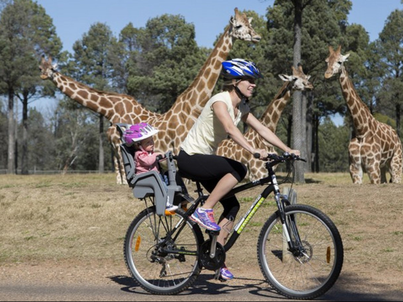 Billabong Camp at Taronga Western Plains Zoo