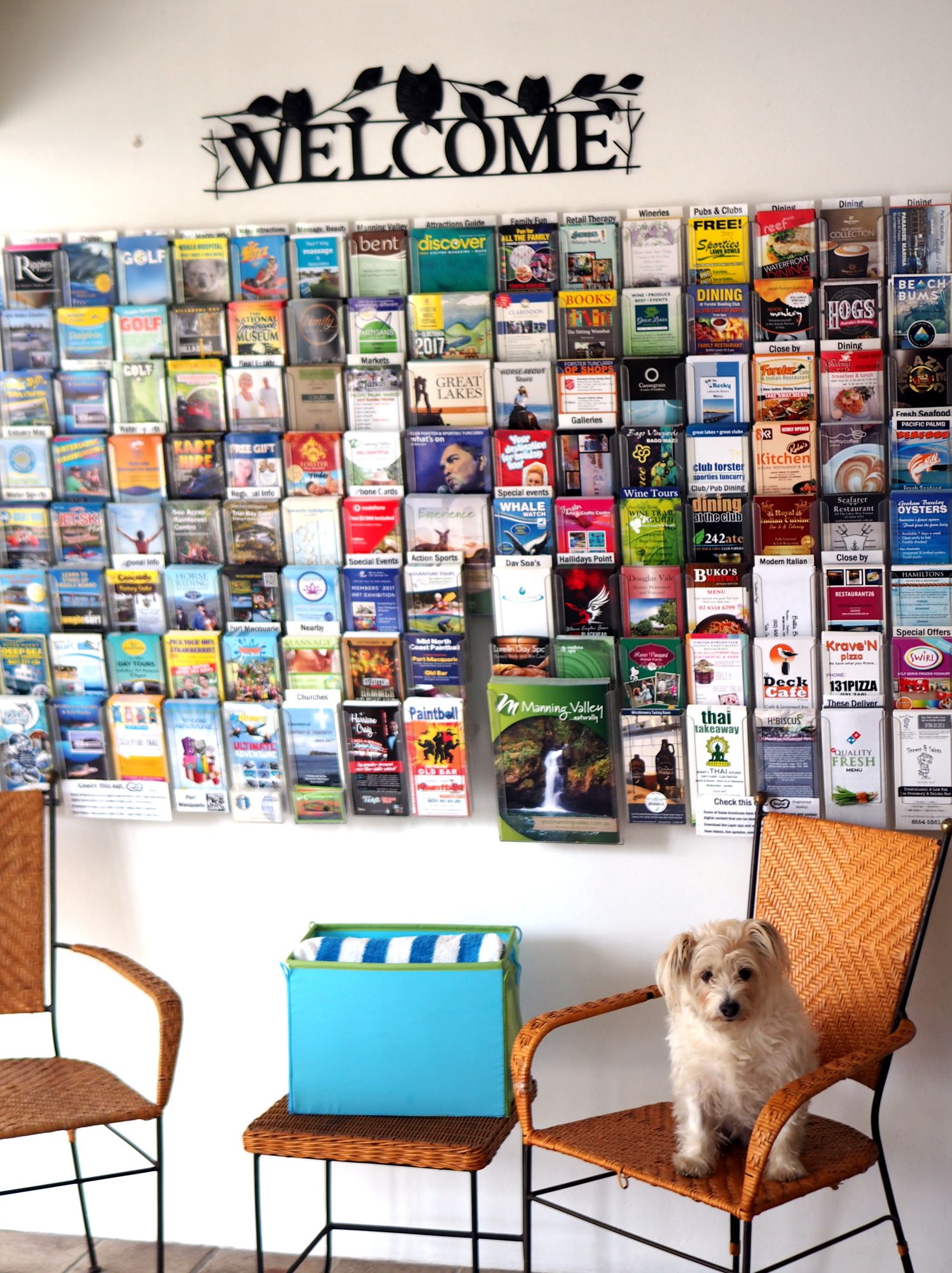 Forster Motor Inn