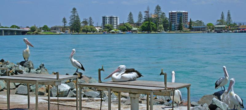 Forster Palms Motel