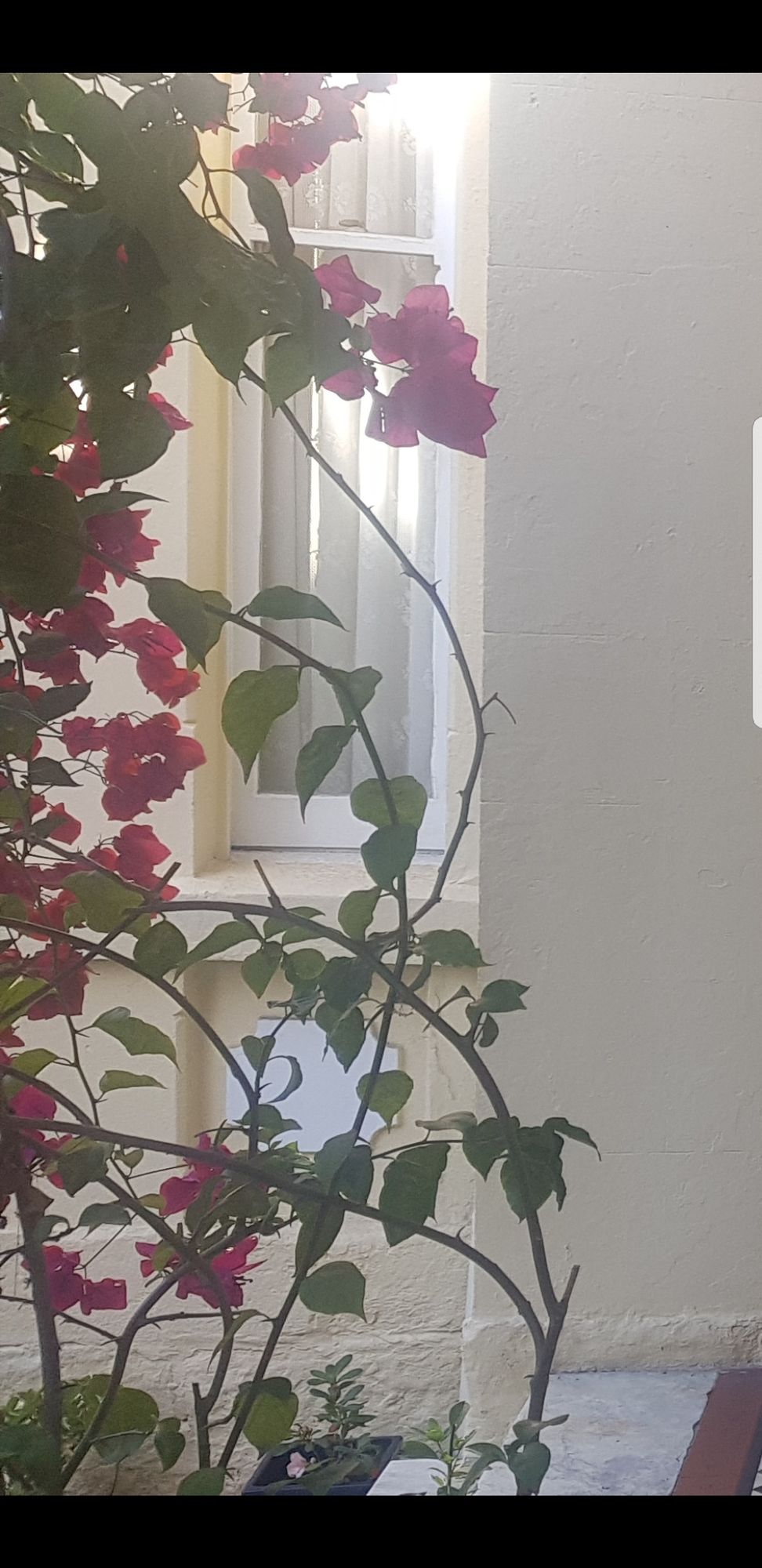 Verona Guest House