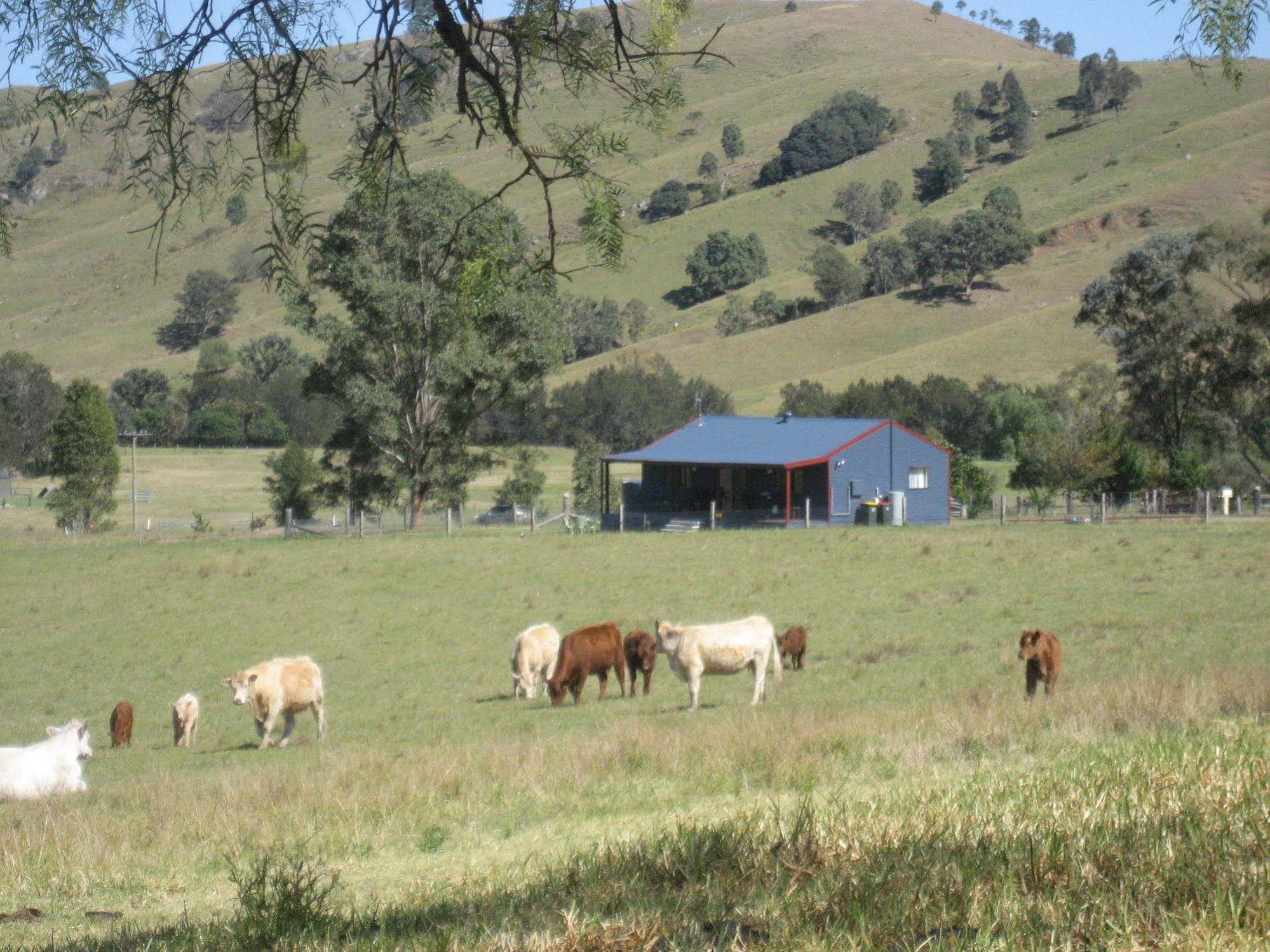 The Wattle Lodge