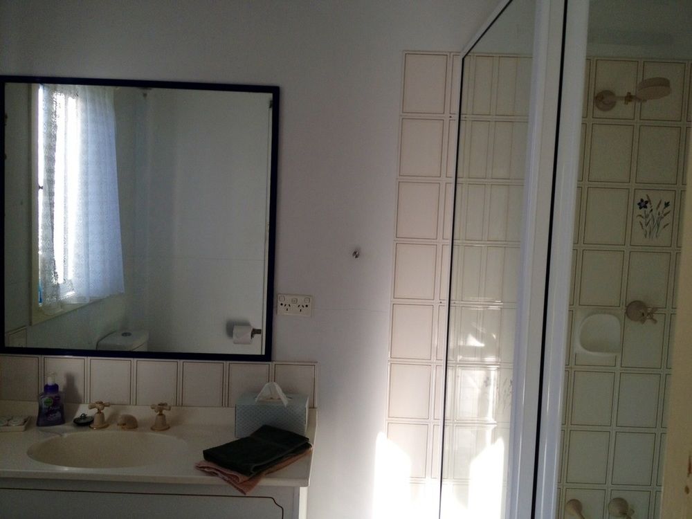 16 Gregson Silky Oaks