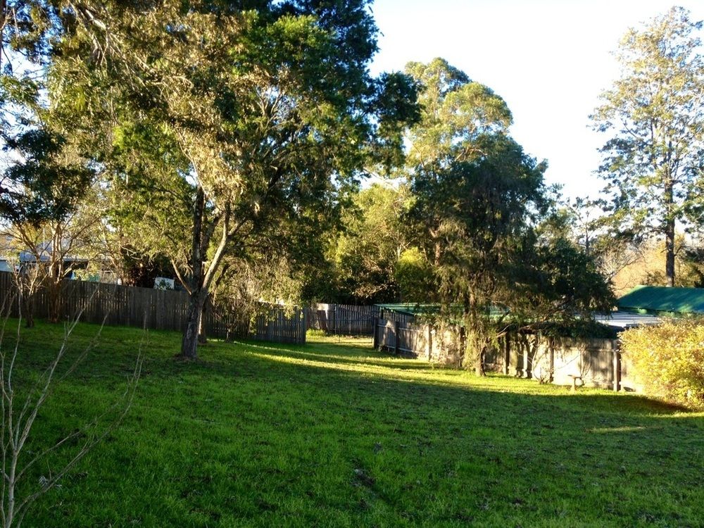 16 Gregson Silky Oaks