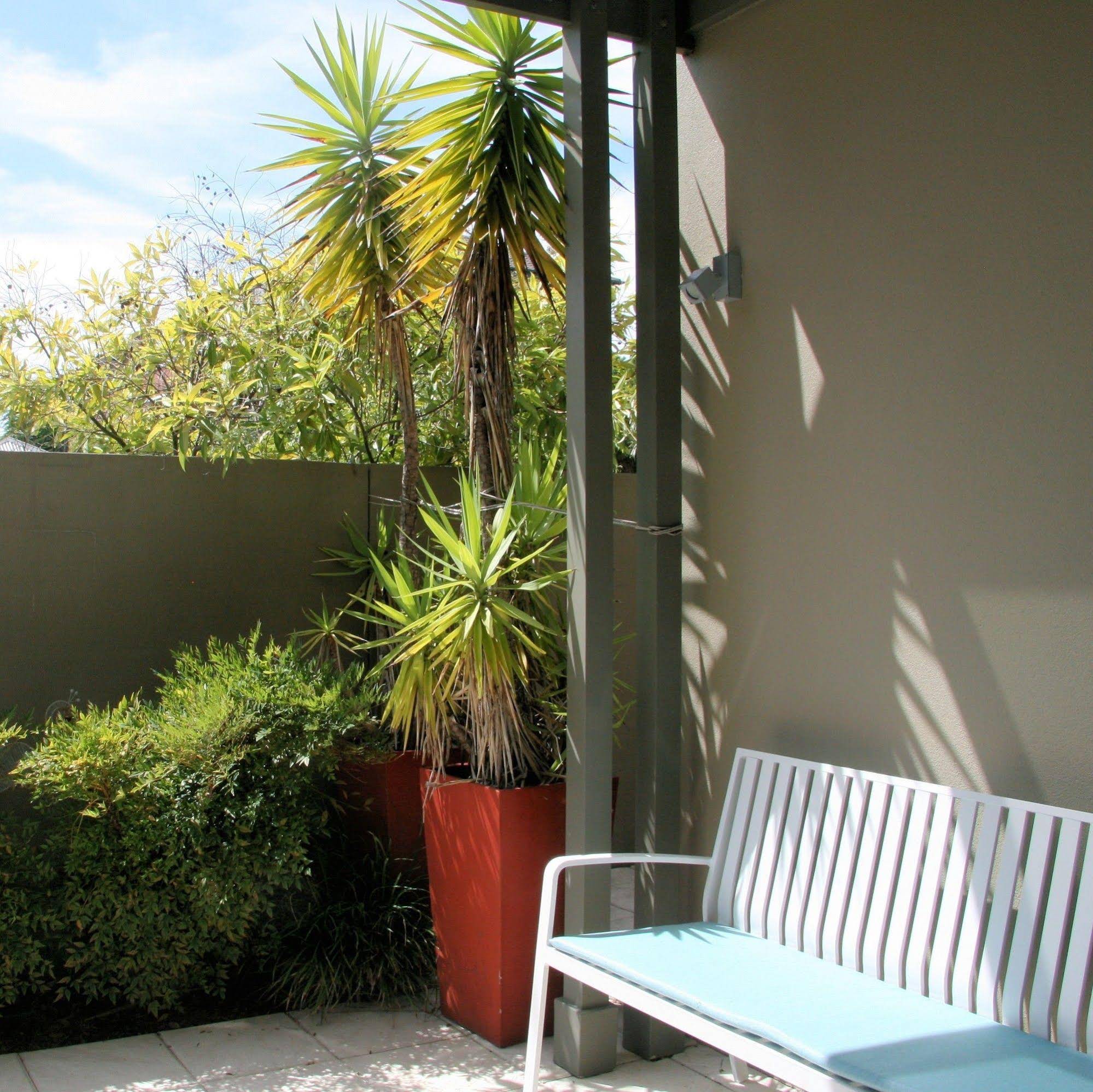 Chaucer Palms Boutique B&B
