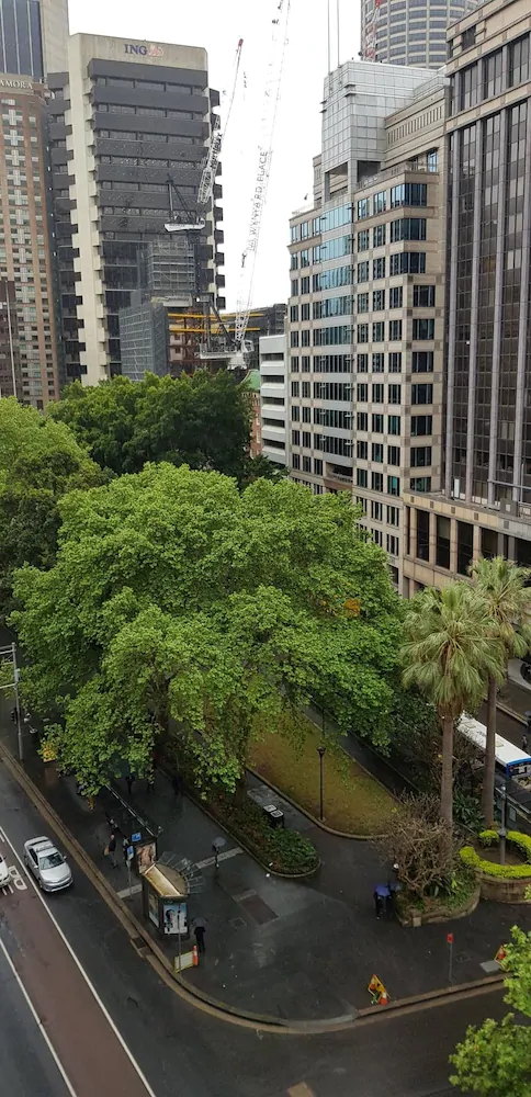 Carrington Sydney City Centre Apartments