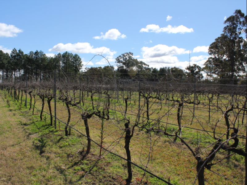 Hunter Valley Hotel Academy