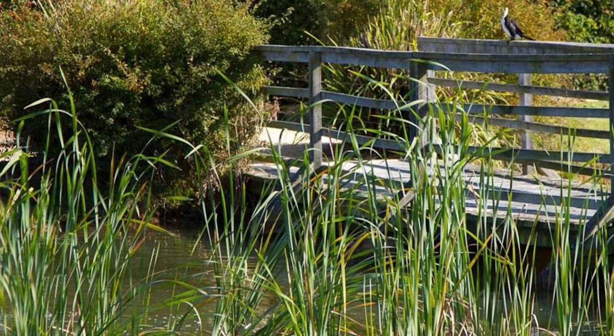 Potters Hotel & Brewery