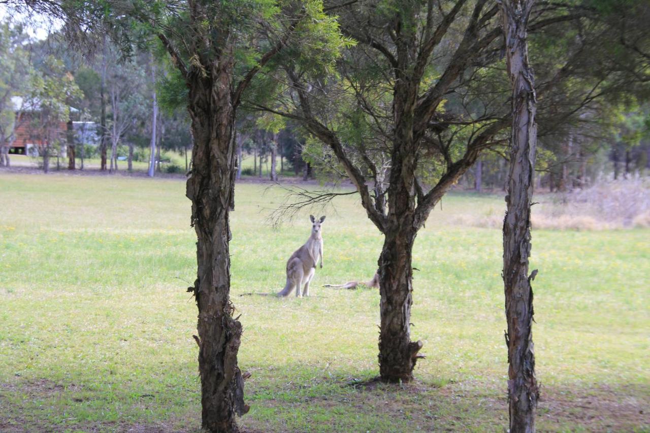 Twin Trees Country Cottages