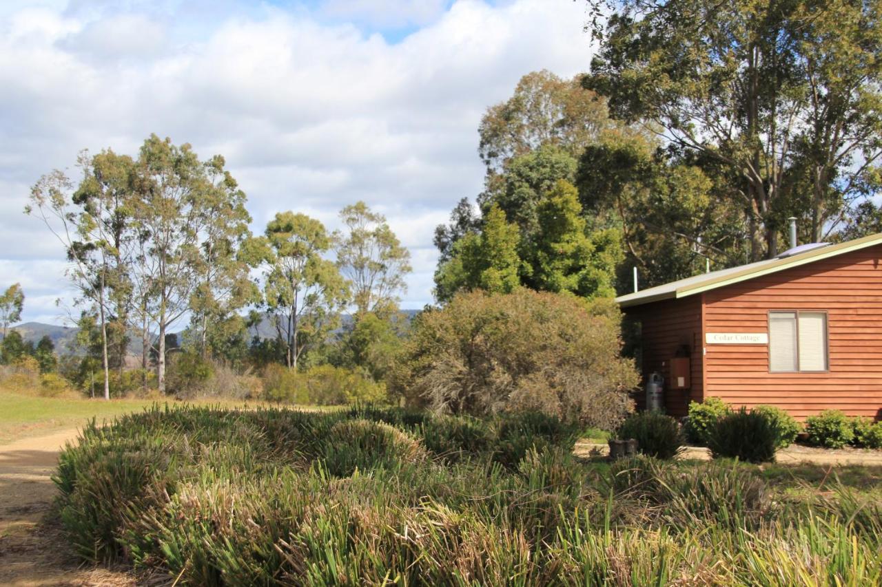 Twin Trees Country Cottages