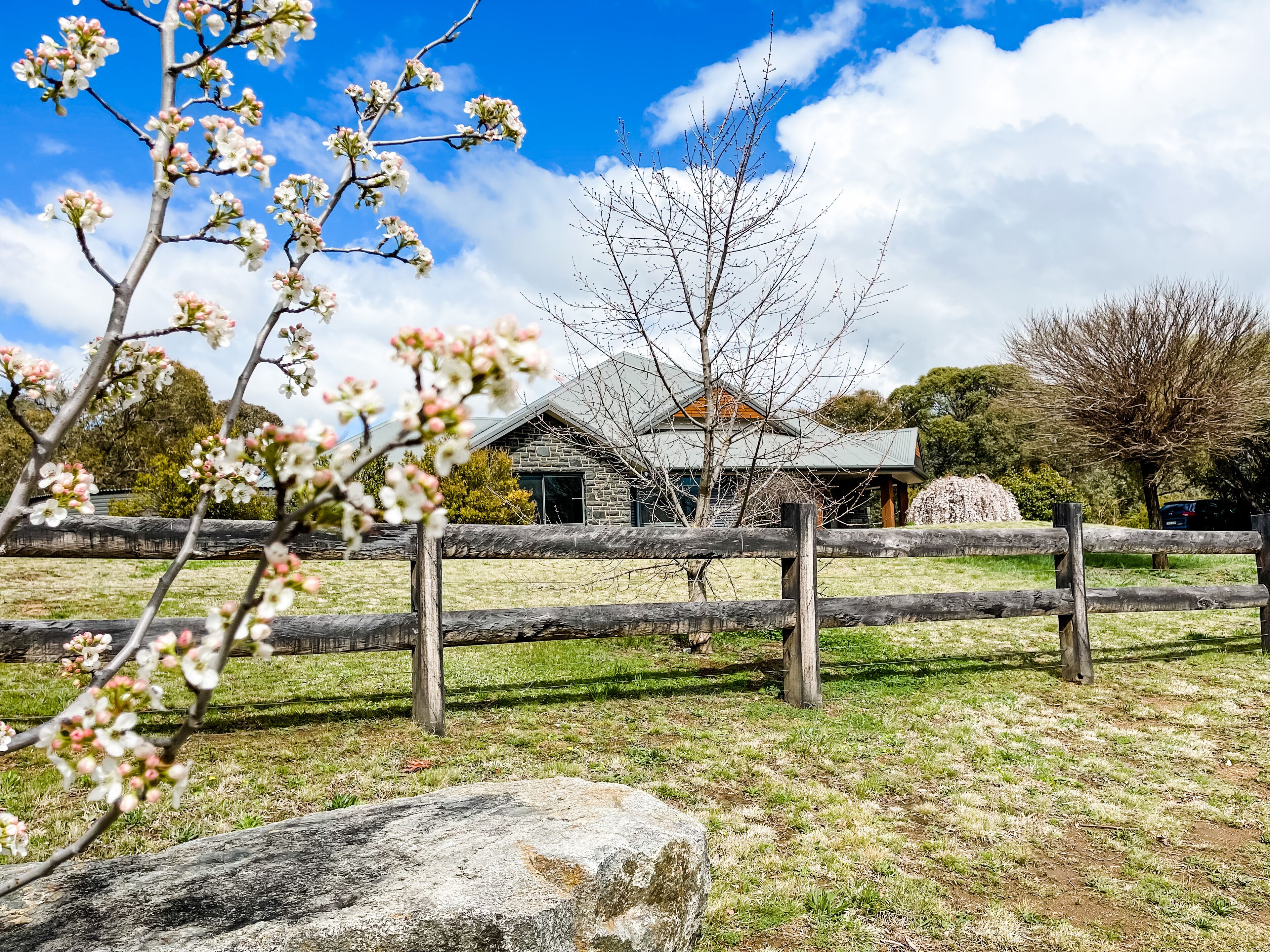 Hamilton House - Snowy Mountain Luxury Villas