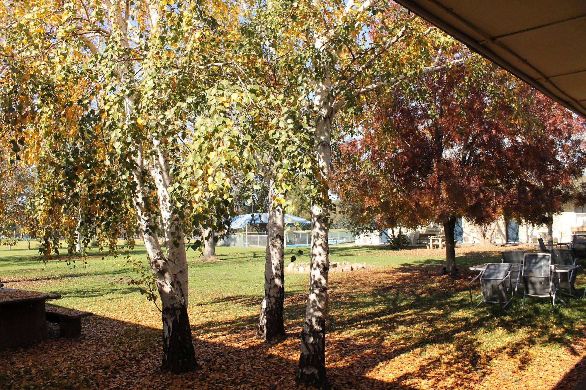 Jugiong Motor Inn