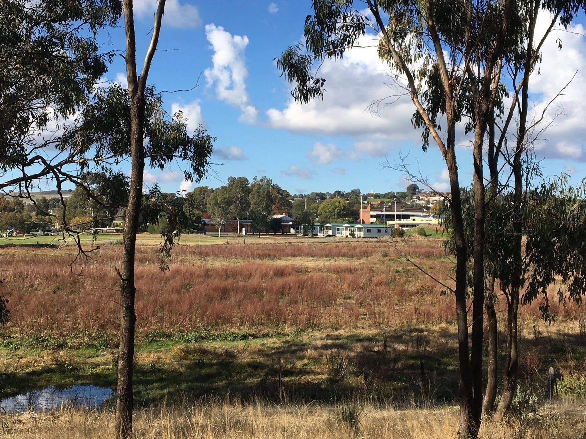 Junee Motor Inn