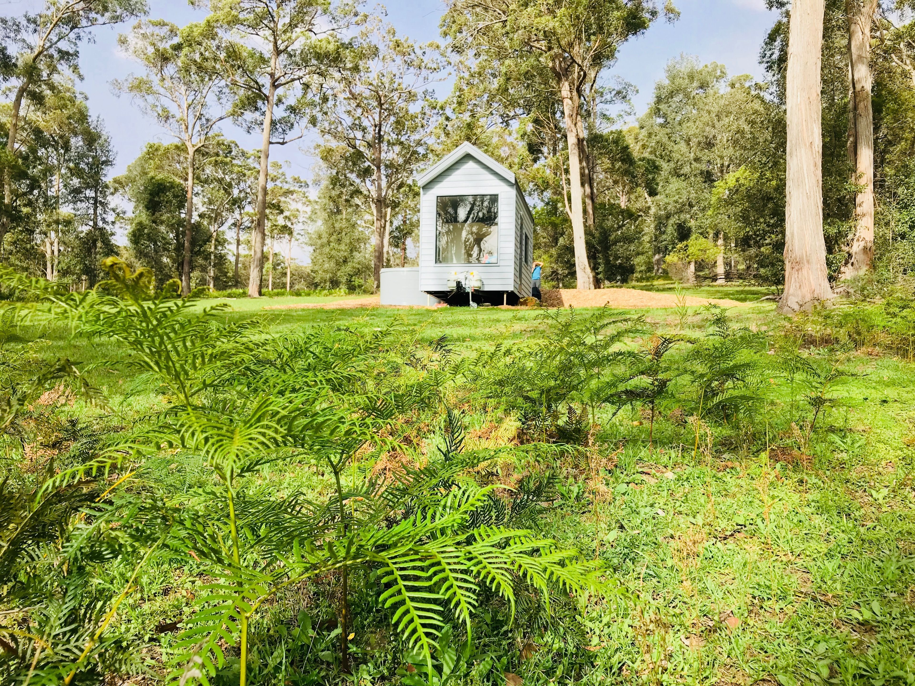 George Tiny House