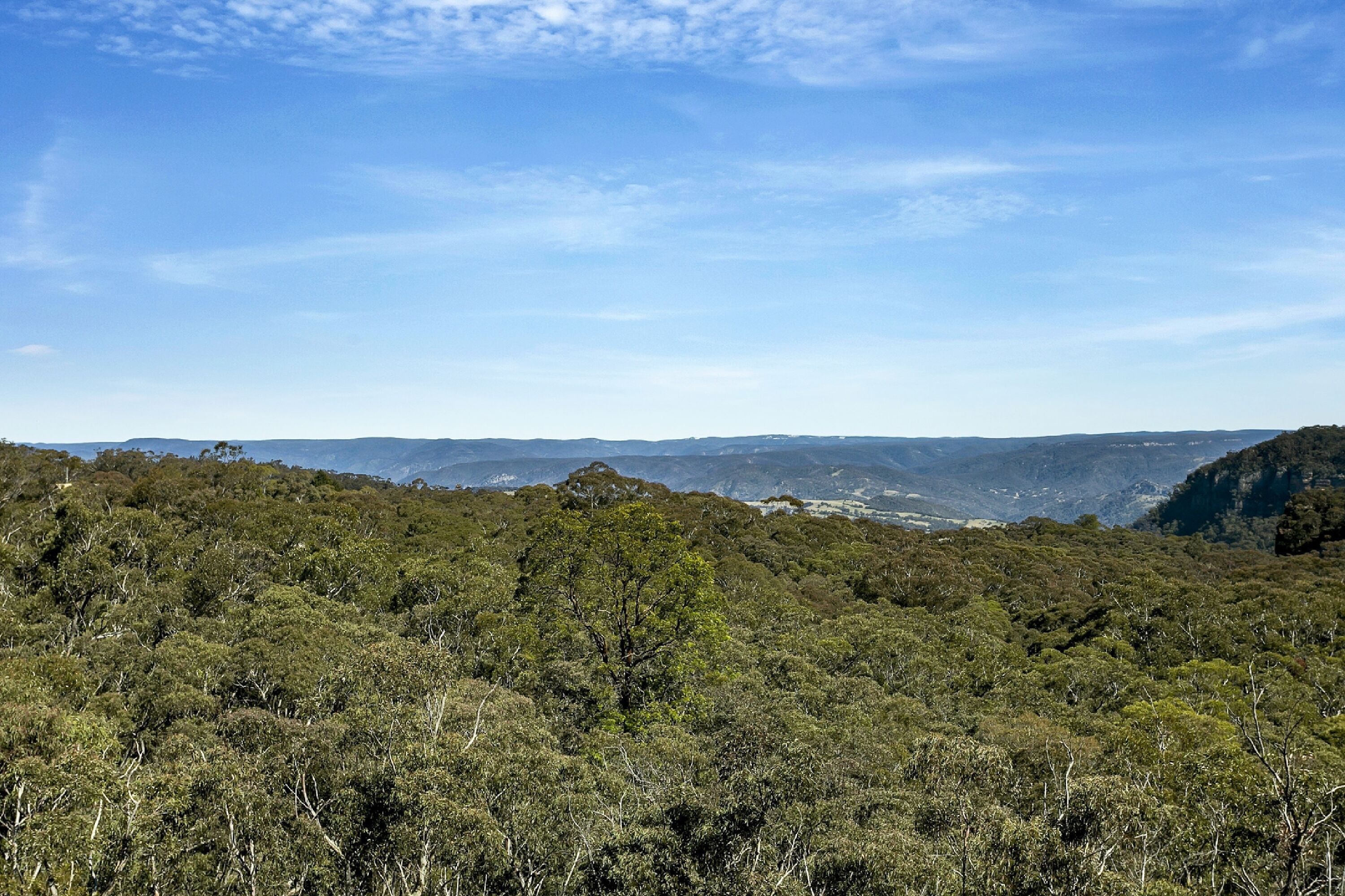 Narrow Neck Lodge