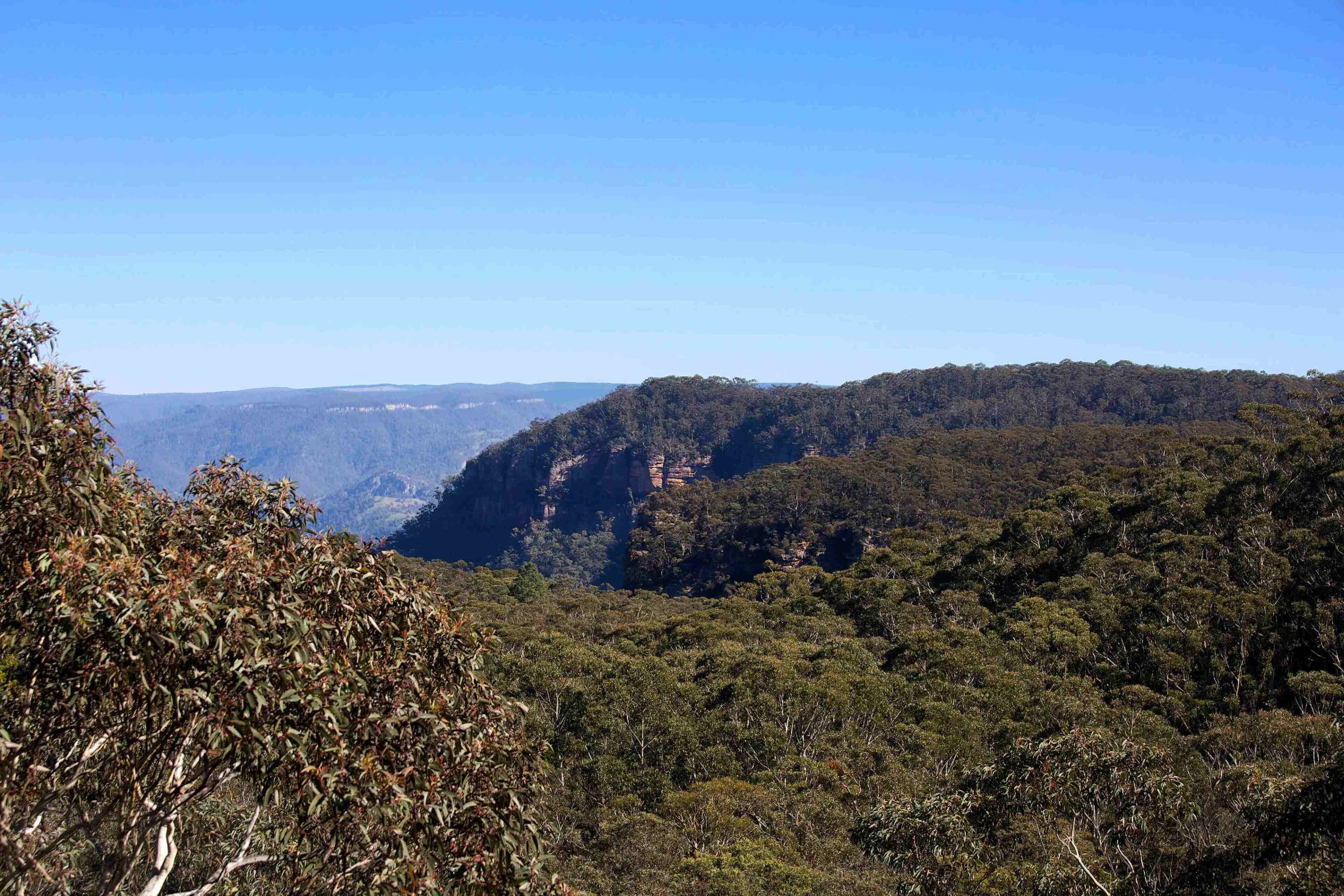 Narrow Neck Lodge