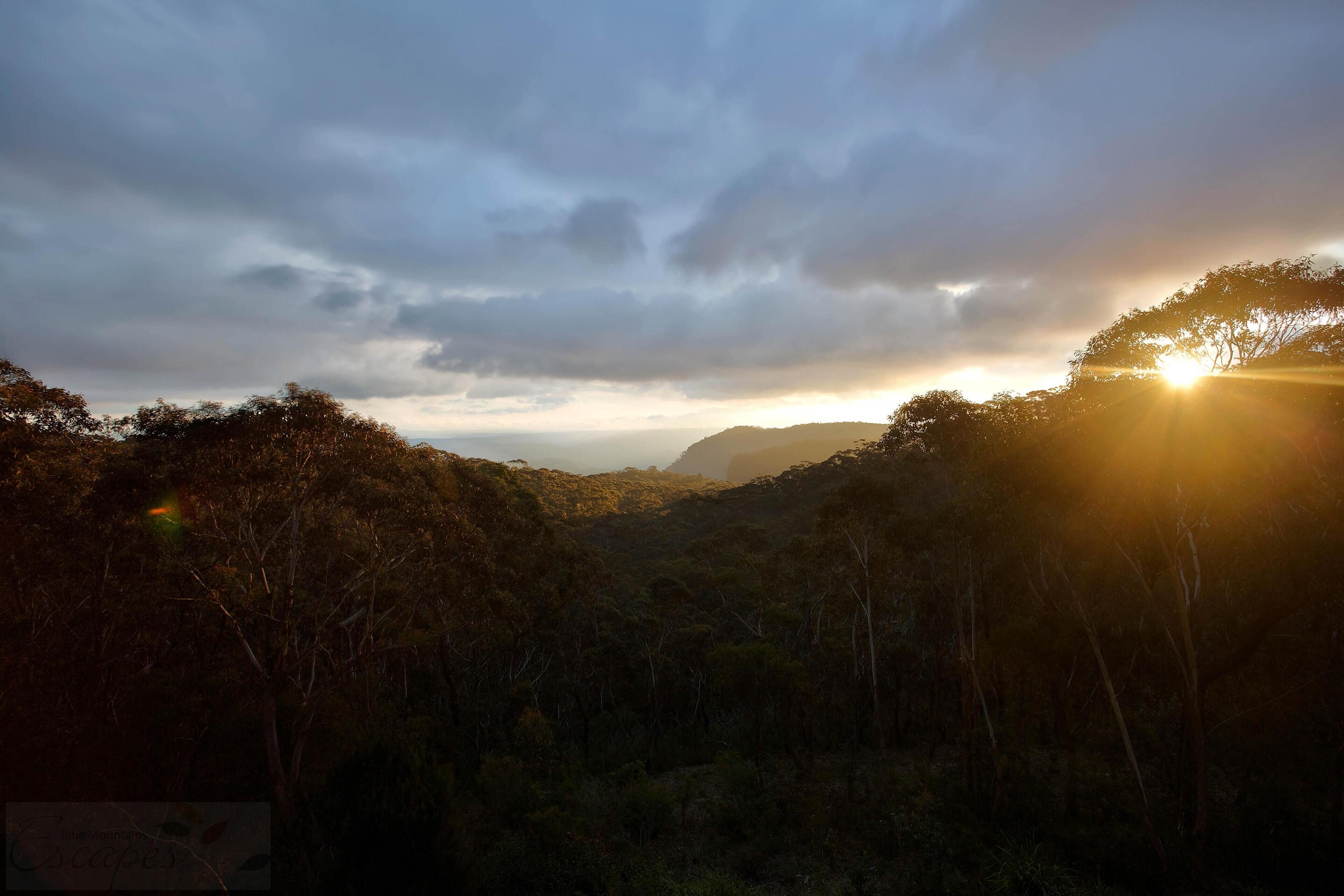 Narrow Neck Lodge