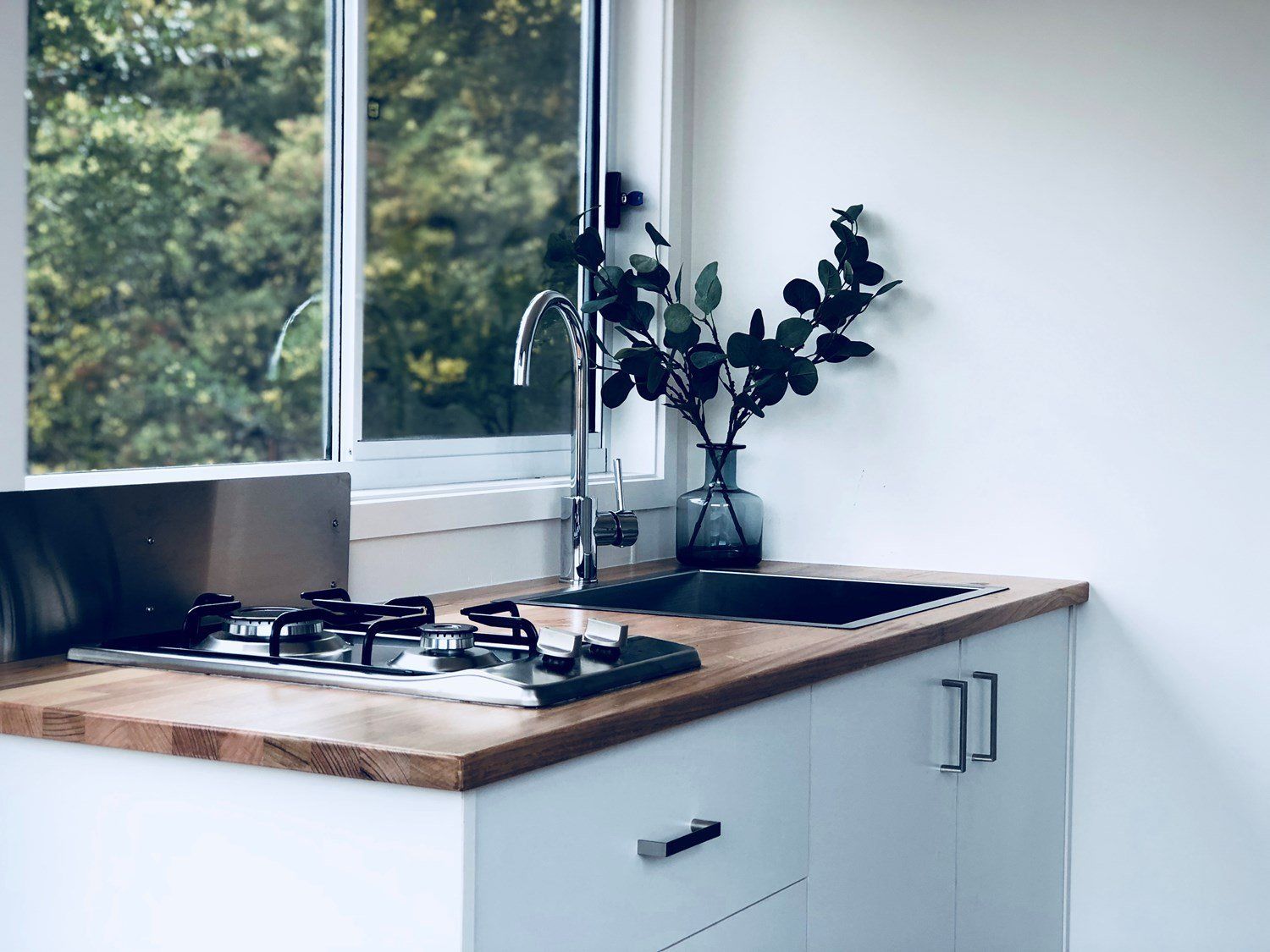 Elizabeth Tiny House